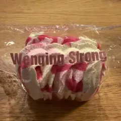 文清 文清很壮 wenqing 海外スクイーズ クリーム巻き ローズクロスロール