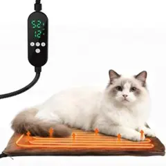 Item thumbnail for item fffe8eee-2bd6-48bb-b87f-a7b61b4f3f89