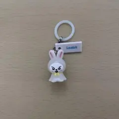 skzoo Straykids めじるしアクセサリー リービット