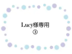 【専用③】あずま袋◆手拭い◆エコバック◆コンビニバック◆ハンドメイド
