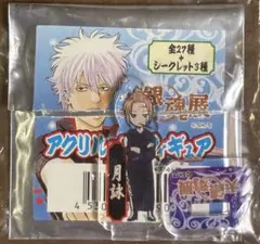 2025年最新】大銀魂展 ミニアクリルの人気アイテム - メルカリ