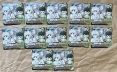 新品未開封　ジャンプフェスタ　ハンターハンター　コレクション缶バッジ　12点