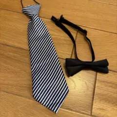ネクタイと蝶ネクタイ　セット