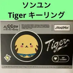 希少☆新品・未開封n.SSign Tiger Keyring Ver. ソンユン n.SSign 2nd Mini Album Repackage 'Tiger' (NFC Keyring ver