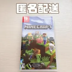 Switch マインクラフト