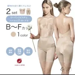 ローバックビスチェ ハイウエストガードルセット　C75