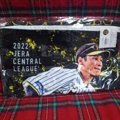 Item thumbnail for item 4e5b9995-5c3a-4dec-b768-9b92ca2ac932