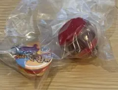 仮面ライダーめじるしアクセサリー