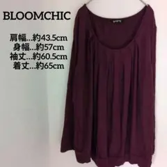 送料込❤BLOOMCHIC パープル 長袖 トップス US12