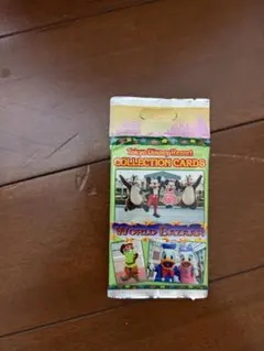 遊戯王 ブラマジガール パスケース 缶バッジ アクキー デッキケース 4