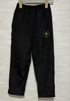 Item thumbnail for item 3d45a459-a214-46f2-9f99-fa3450fdb598