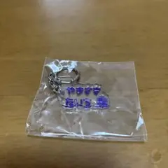 サンフレッチェ広島ひらがなアクリルキーホルダー山崎大地選手