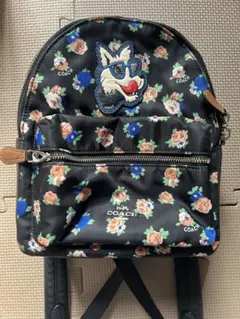 coach ミニリュック