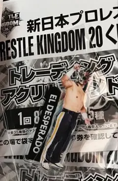 新日本プロレスWRESLE KINGDOM20 くじ エル・デスペラード選手