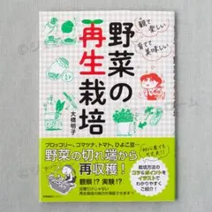 観て楽しい育てて美味しい 野菜の再生栽培 大橋明子 未読 新品