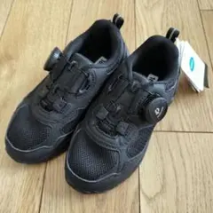 Item thumbnail for item 85ef192d-77d0-4989-8fba-e337ee23ee12