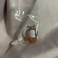 はぴだんぶい めじるしアクセサリー ソロキャンプ ポチャッコ