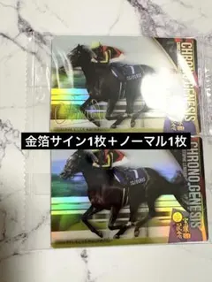 第4R サラブレッドホースコレクション クロノジェネシス サイン入り 宝塚記念
