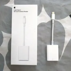 Item thumbnail for item f1175204-5ab1-4697-8a24-44a26f3423d9