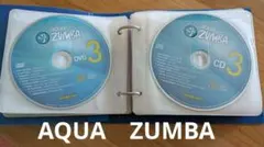 Item thumbnail for item 2adb1b82-60a0-4448-87f9-a072aa3aa07b