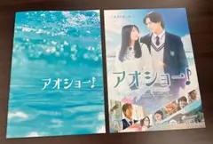 アオショー　パンフレット　フライヤー付き