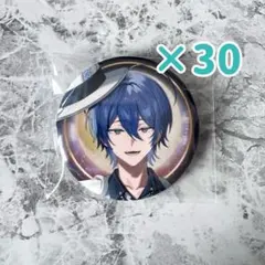 ヒプノシスマイク ヒプマイ guide book+ 缶バッジ 四十物十四 ×33