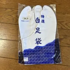 Item thumbnail for item ae1113ce-fcb2-4975-8f37-c0e3d0c50954