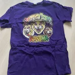 美品】WANIMA ワンチャンフェスTシャツ 2色セット MとXL - メルカリ
