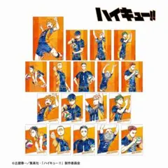 ハイキュー! Ani-Art 第2弾 トレーディングブロマイド 18個入りBOX
