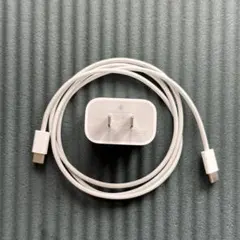 Apple 20W USB-C電源アダプタ ケーブル付き
