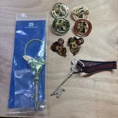 ディズニー　プレミアムツアー　シー　ランド　ピンバッジ　6個　オマケ付き