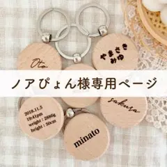 ノアぴょん様専用ページ