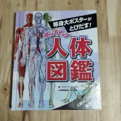 等身大海報彈出！立體人體圖鑑