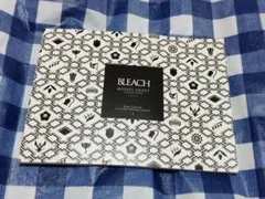 BLEACH　黒崎一護　アニメ　ブックレット　設定資料