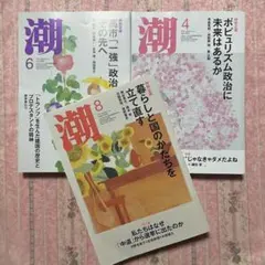 潮 2026年 4月 6月 8月