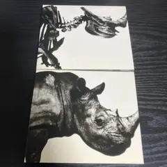 mr.children 邦楽