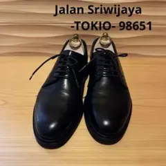 Item thumbnail for item a8a53ae2-50e7-4821-b1ea-ec58549649bd