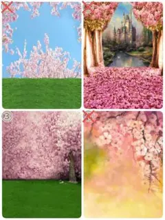 背景布【　春M　】サンプル　ペット撮影用　桜、お花見、チューリップ　フォトブース
