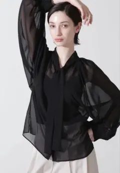 hLM シースルーブラック長袖シャツ 新品