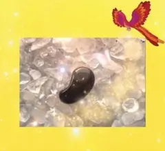 極上聖なる秘術勾玉【神つなぎ】ゴールドストーン - メルカリ
