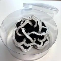 Item thumbnail for item 6e40dc99-ae9c-410e-9787-3db49009e31c