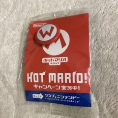 Nintendo HOT MARIO ホットマリオ　缶バッジ　ニンテンドー