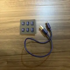ATH-SQ1TW2NC ネイビーレッドイヤーピース 30cm充電用USBセット