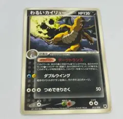 su 様専用　わるいカイリュー & フリーザー