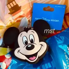 ディズニー ミッキー バッグチャーム コインケース キーホルダー シリコン