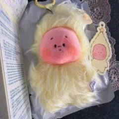 ** Twinkle Twinkle Sweet Dreams Forecact