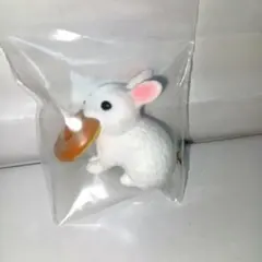 いっぱい食べる動物が好き。　シロウサギ　と　チョコドーナツ
