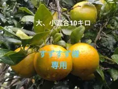 すずすず様専用☆たんかん大、小混合10キロ♪