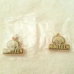 MINITEEN ミニティーン ガシャポン ドギョム めじるし 2個 匿名配送