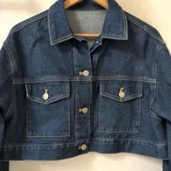 WEGO Gジャン デニムブルー フリーサイズ